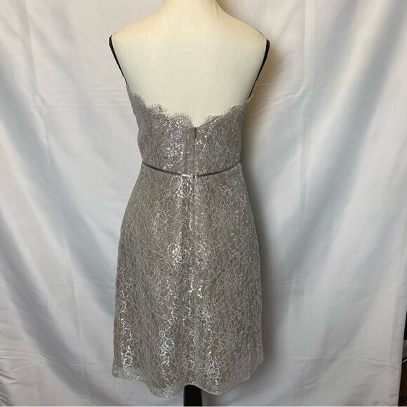 Alvina Valenta Maids Beige Silver Lace Overlay Strapless Dress Size 10 Womens - Picture 6 of 11